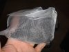 DSC00759.JPG