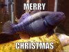 ImageUploadedByMonsterAquariaNetwork1387939157.887208.jpg