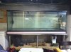 fish tank 2.jpg