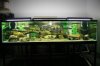 FTS_1.JPG FTS_1.JPG