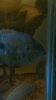 uploadfromtaptalk1388456810007.jpg
