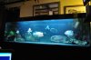 DSC_0177.JPG