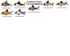 corydoras.jpg
