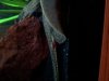 uploadfromtaptalk1388837153446.jpg