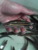 0506071622.jpg