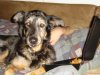 DSC01074.JPG
