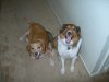 DSCN1360.JPG