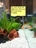 fish shaming.jpg