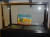 DSC01531.JPG