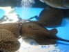 DSCN0452.JPG