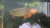 DSC01595.JPG