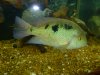 January 20, 2014 023.JPG