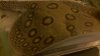 uploadfromtaptalk1390439824334.jpg uploadfromtaptalk1390439824334.jpg
