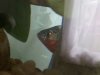 20140126_105528.jpeg