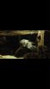 ImageUploadedByMonsterAquariaNetwork1391010838.397502.jpg