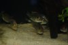 DSC_1276.jpg DSC_1276.jpg