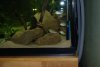 DSC_1301.jpg DSC_1301.jpg