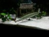 uploadfromtaptalk1391418302219.jpg