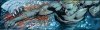 aquaman-punched-a-shark.jpg