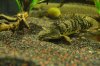 DSC_0162.JPG