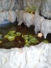 IMG-20140201-WA0005.jpg