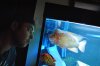 DSC_1156.JPG