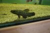 DSC00505.JPG