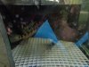 DSC00072.JPG