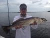 ImageUploadedByMonsterAquariaNetwork1392339072.743823.jpg ImageUploadedByMonsterAquariaNetwork1392339072.743823.jpg