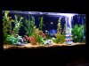 front of tank.jpg