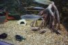 DSC00508.JPG