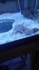 20140218_150947.jpg