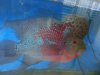 DSC00663.JPG