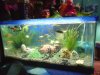 DSC00642.JPG