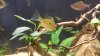 20140222_152153.jpg 20140222_152153.jpg
