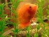 20131206_161421.jpg