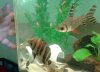20140224_153323-2.jpg