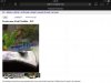 ImageUploadedByMonsterAquariaNetwork1393551955.328653.jpg