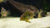 20140301_160306.jpg