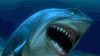 shark-laughing.gif