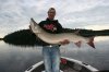 55inch-musky.jpg 55inch-musky.jpg