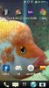 uploadfromtaptalk1394029927539.jpg