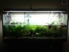 20121215_203837.jpg