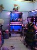 IMG_2587.jpg