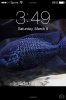 ImageUploadedByMonsterAquariaNetwork1394311809.526887.jpg