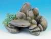 rocky ledge.jpg
