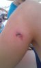 WP_20140216_012.jpg