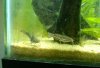 WP_20140227_003.jpg