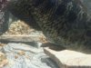 uploadfromtaptalk1395277916352.jpg