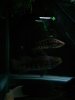 uploadfromtaptalk1395330234516.jpg
